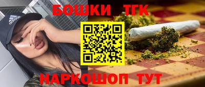 стафф Кандалакша