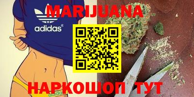 ALPHA PVP Камышлов